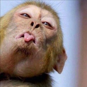 Meet your Posher, Tameika